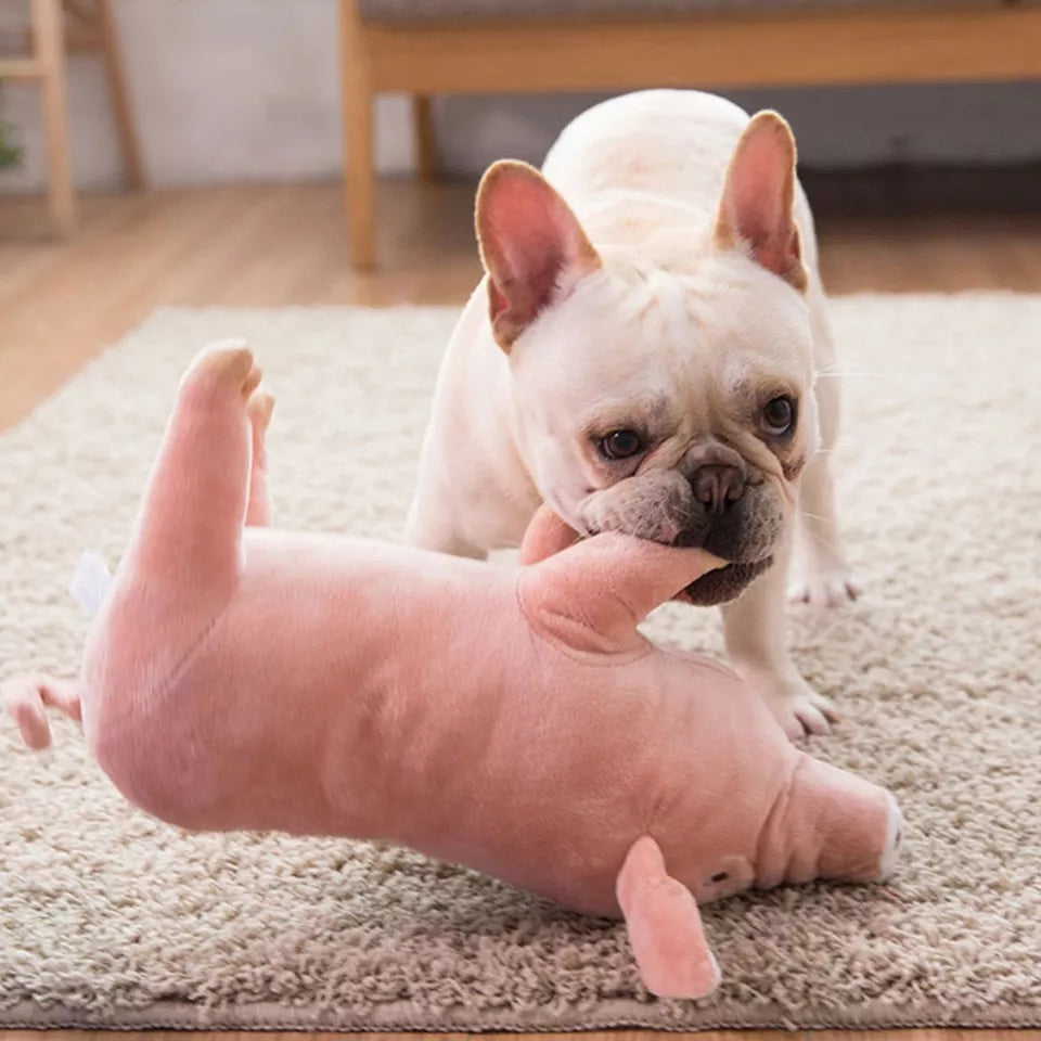 Schwein Siggi Hunde Plüsch Kuscheltier und Kau Spielzeug