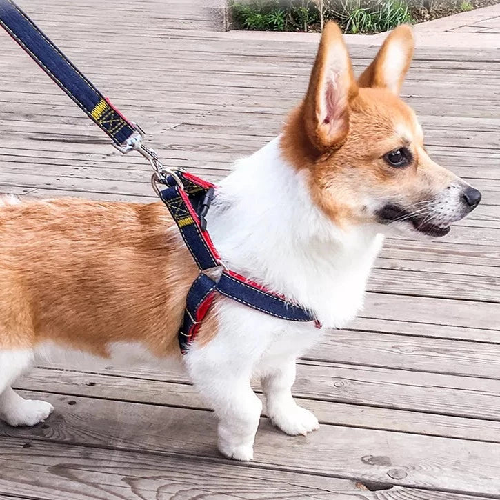 3er-Set Leine Brustgeschirr & Halsband für Hunde Jeansoptik Moodbild