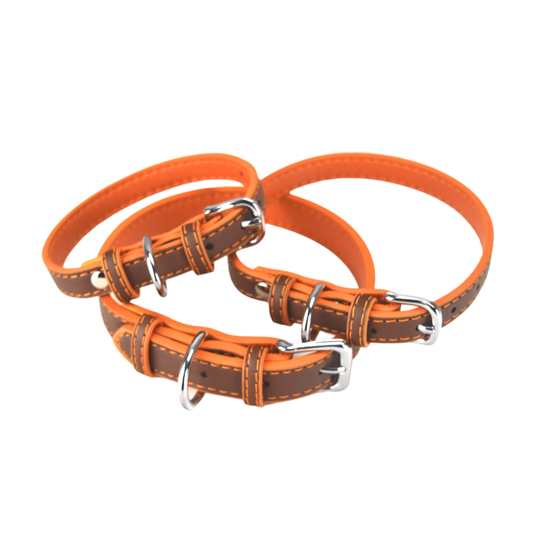 Hundehalsband braun/orange Kunstleder Halsband mit silbernem Verschluss verschiedene Größen Detailaufnahme