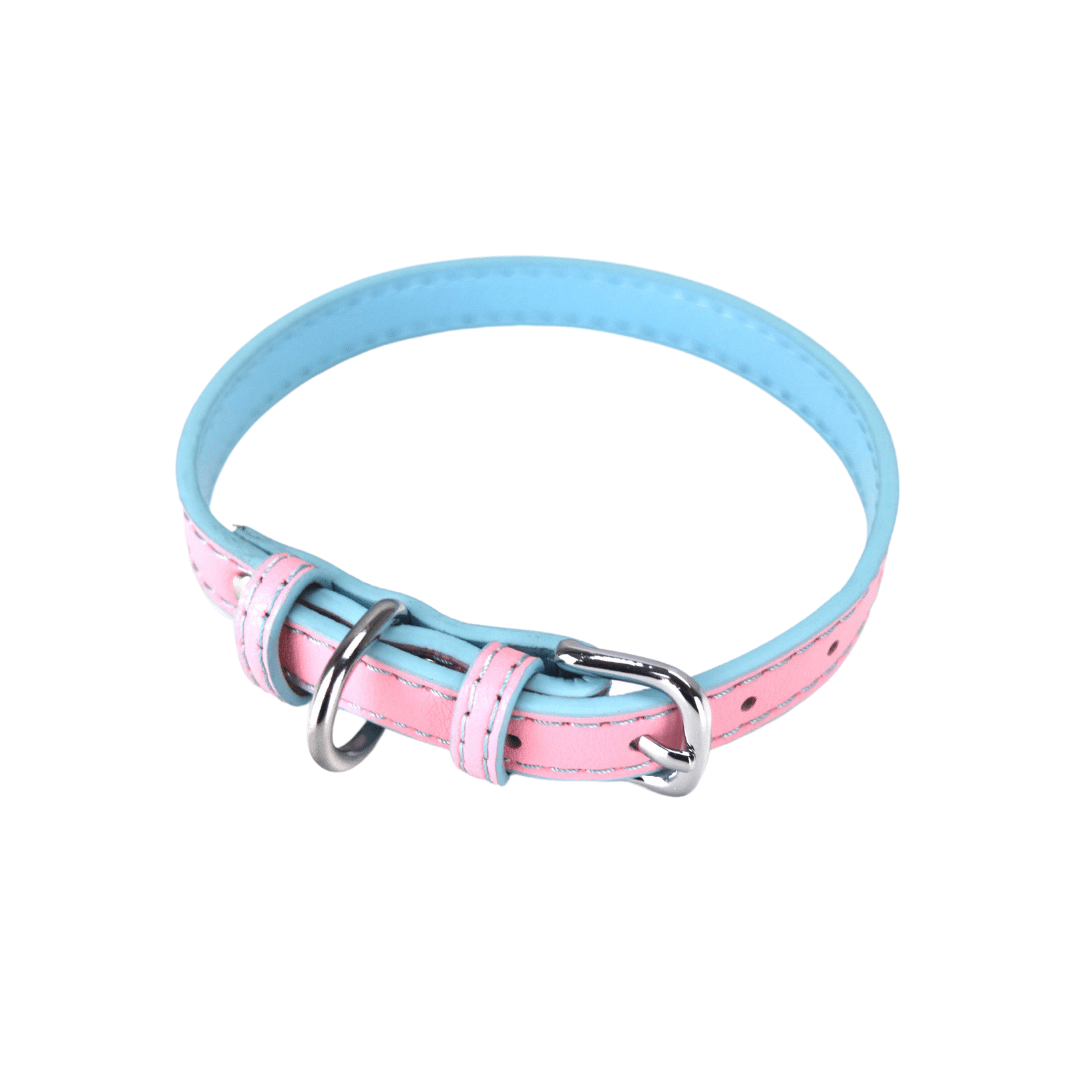 Hundehalsband Kunstleder Welpen Halsband Verstellbar mit silberfarbenem Verschluss mit D-Ring Rosa / Blau Hauptbild