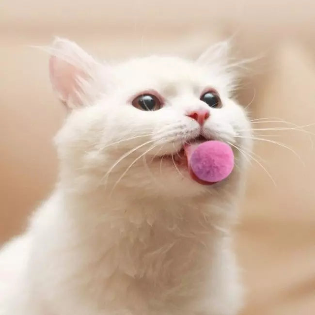 Katzenspielzeug flauschige Filzkugeln Plüschbälle 10 Stück 3cm