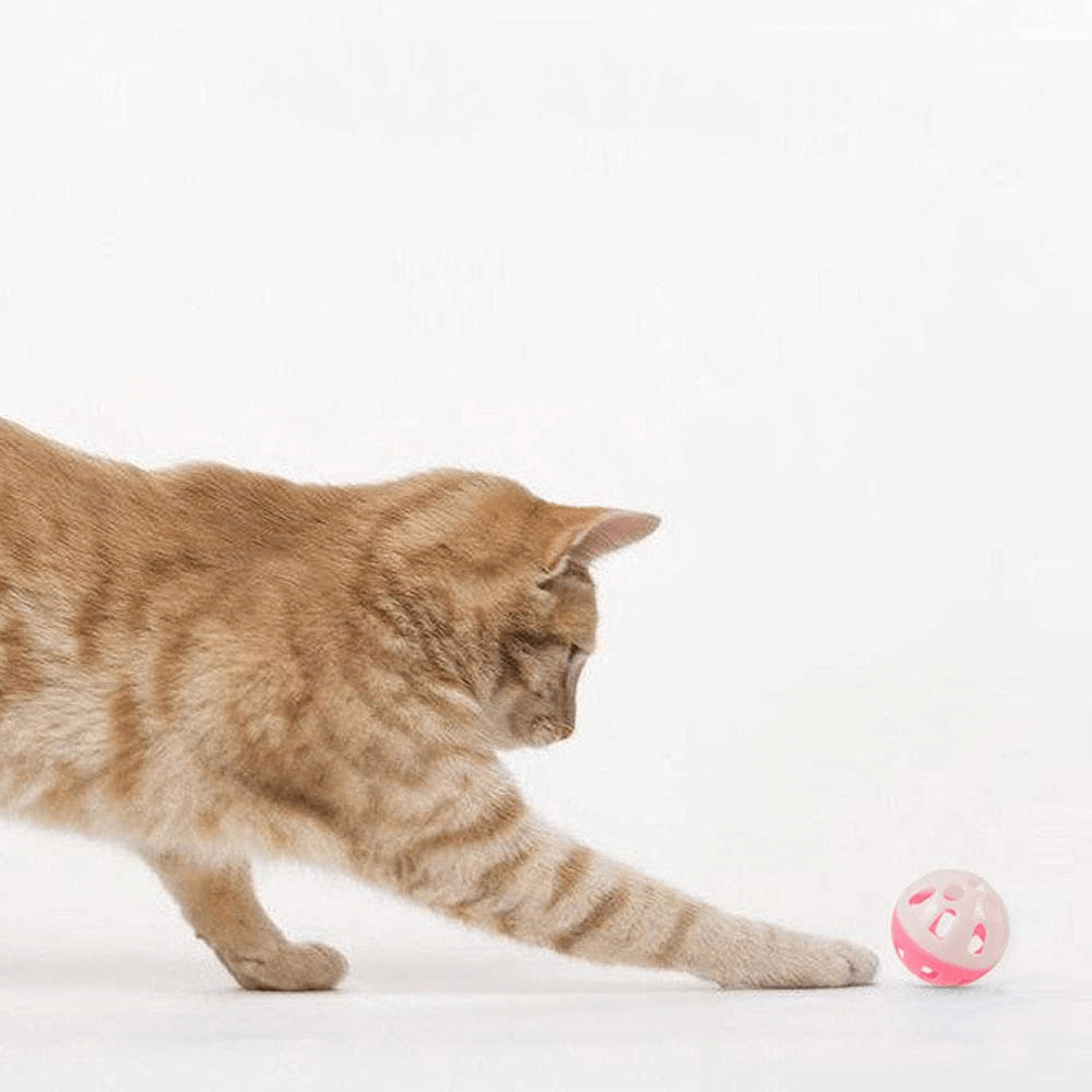 3er Set Haustier Spielzeug Ball mit Glocke Glöckchen Hunde und Katzenspielzeug 4 cm jetzt kaufen