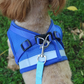 Brustgeschirr Laufgeschirr für Hunde inklusive Leine und Reflektor Detailaufnahme Blau