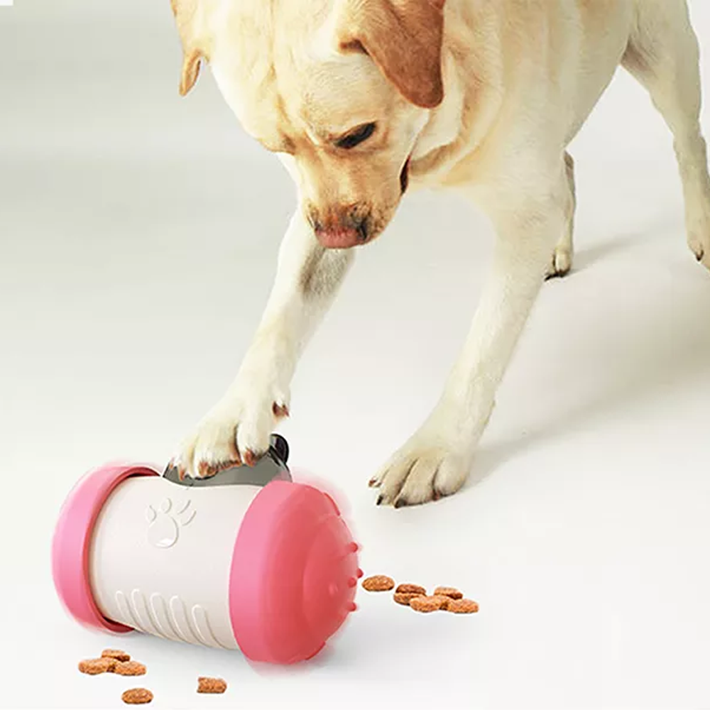 Interaktives Futterspielzeug für Katzen und Hunde