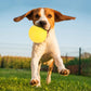 Hunde Kauspielzeug Outdoor Ball Schwimmspielzeug Wurfball Langlebig Bissfest Wasserfest Detailbild gelb